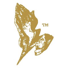 Music Ministry -Editorial