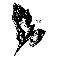 Techno Ministry